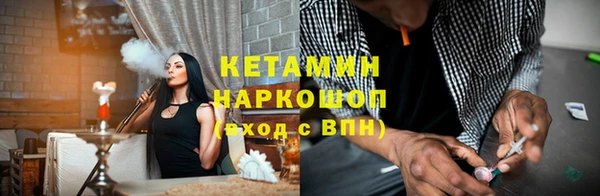 прущие грибы Аркадак