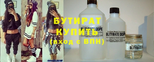 индика Долгопрудный