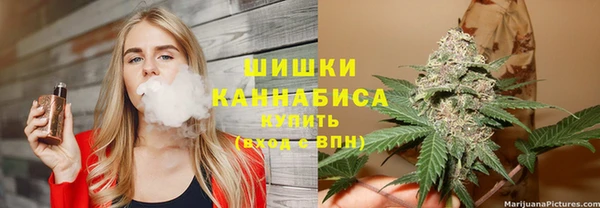 индика Долгопрудный