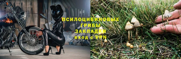 мдма Богородск