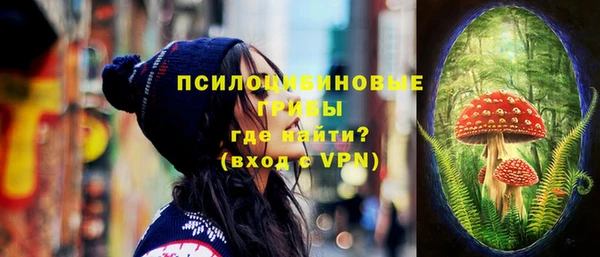 спайс Богданович