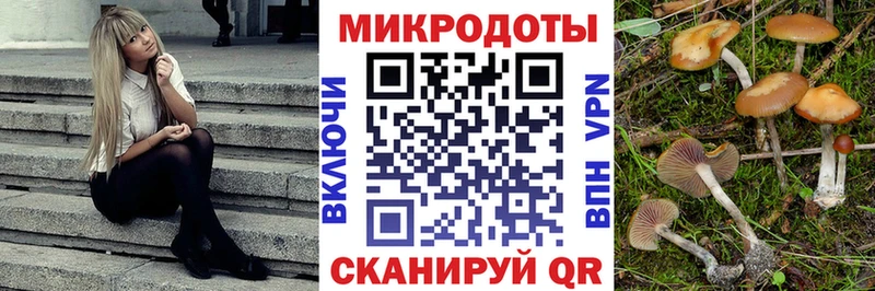 Псилоцибиновые грибы MAGIC MUSHROOMS  Дальнегорск 