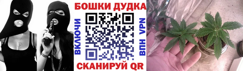 Канабис сатива  Дальнегорск 