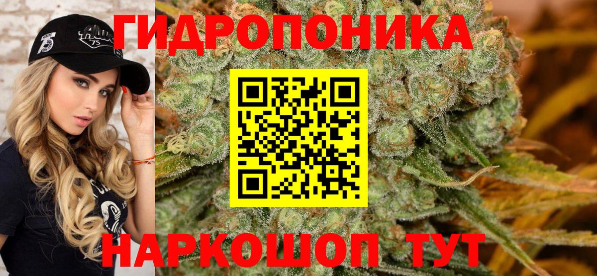 Конопля Amnesia Дальнегорск