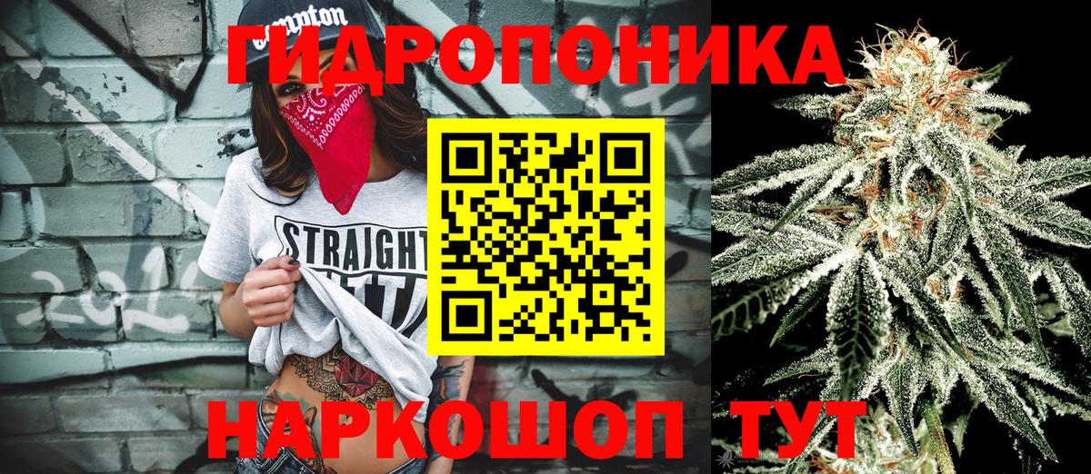 Бошки Шишки конопля Дальнегорск